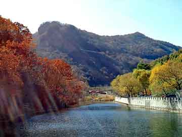 澳门二四六天天彩图库，冷卷板